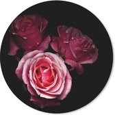 Muismat Roze roos - Een foto van roze rozen met een zwarte achtergrond Muismat rond - 20x20 cm - Muismat met foto