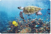 Muismat Schildpad - Schildpad bij koraalrif muismat rubber - 27x18 cm - Muismat met foto