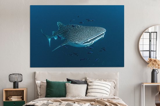 Tableau sur toile Un requin baleine à pois - 150x100 cm - Décoration murale