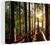 Le soleil brille à travers une forêt d'arbres imposants aux Açores 80x60 cm - Tirage photo sur toile (Décoration murale salon / chambre)