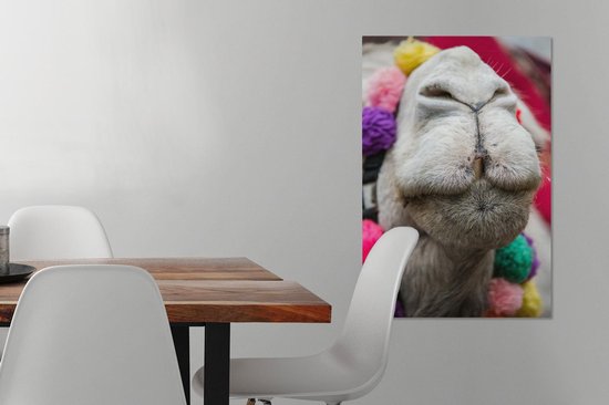 Gros plan d'une toile 2cm dromadaire 60x90 cm - impression photo sur toile peinture Décoration murale salon / chambre à coucher) / Animaux sauvages Peintures Toile