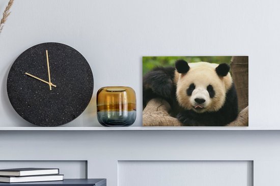 Canvas schilderij 30x20 cm - Wanddecoratie Dieren - Panda - Bomen - Muurdecoratie woonkamer - Slaapkamer decoratie - Kamer accessoires - Schilderijen op canvas