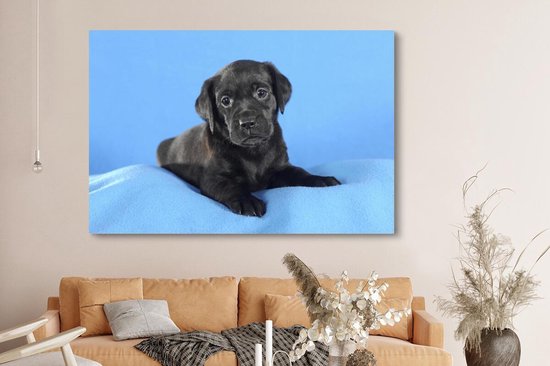 Tableau sur toile Chiot Labrador sur couverture bleue - 150x100 cm - Décoration murale