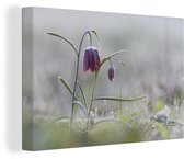 Peinture sur toile La Reine des Neiges - Glace - Fleurs - 30x20 cm - Décoration murale
