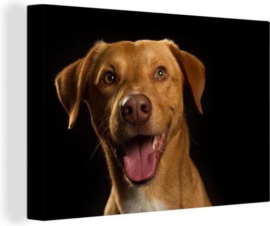 Canvas Schilderij Hond - Huisdieren - Portret - 60x40 cm - Wanddecoratie |  bol.com