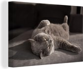 Canvas schilderij 150x100 cm - Wanddecoratie Dier - Poes - Grijs - Muurdecoratie woonkamer - Slaapkamer decoratie - Kamer accessoires - Schilderijen