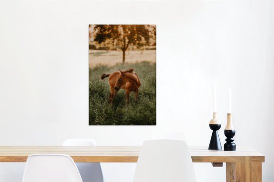 Quarter horse poulain regarde 40x60 cm - Tirage photo sur toile (Décoration murale salon / chambre) / Peintures sur toile Mammifères