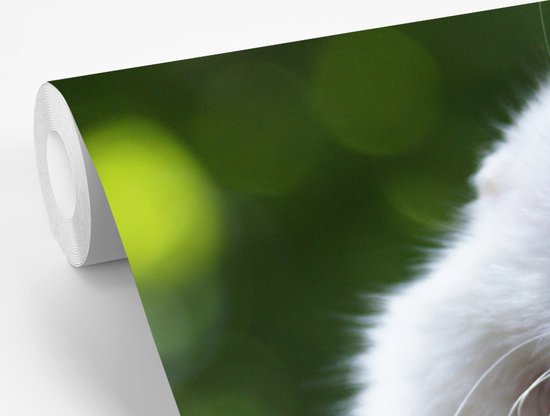 Papier peint - Papier peint Papier peint photo - Hamster aux grands yeux se tenant bien - Largeur 385 cm x hauteur 280 cm