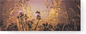 Art for the Home - Canvas - Bloemen en Bij - 40x100