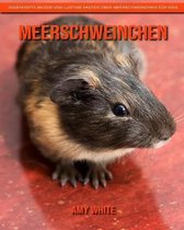 Meerschweinchen