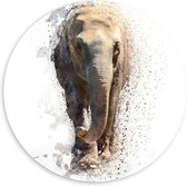 Forex Wandcirkel - Rustige Olifant aan het Lopen - 60x60cm Foto op Wandcirkel (met ophangsysteem)