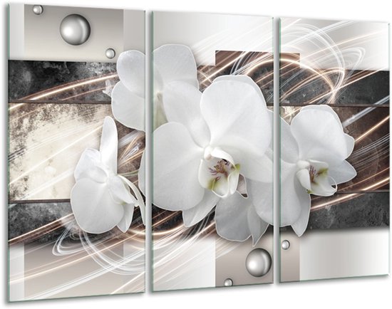 Glasschilderij Orchidee, Bloemen - Grijs, Wit - 120x80cm 3Luik - Foto Op Glas - Geen Acrylglas Schilderij - GroepArt 6000+ Glas Art Collectie - Maatwerk Mogelijk