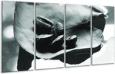 GroepArt - Glasschilderij - Koffiebonen, Keuken - Grijs, Groen - 160x80cm 4Luik - Foto Op Glas - Geen Acrylglas Schilderij - 6000+ Glasschilderijen Collectie - Wanddecoratie