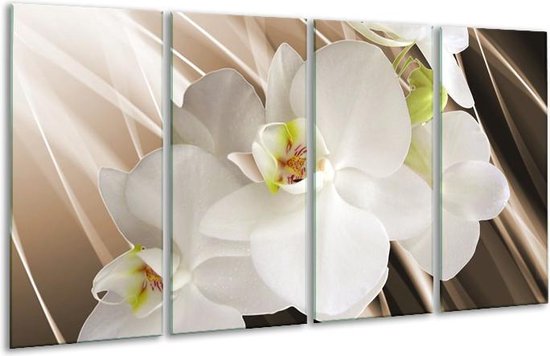 GroepArt - Glasschilderij - Orchidee - Wit, Bruin - 160x80cm 4Luik - Foto Op Glas - Geen Acrylglas Schilderij - 6000+ Glasschilderijen Collectie - Wanddecoratie