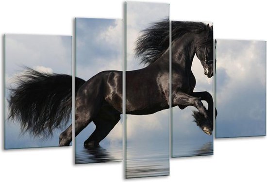 Glasschilderij Paard - Zwart, Blauw, Wit - 170x100cm 5Luik - Foto Op Glas - Geen Acrylglas Schilderij - 6000+ Glasschilderijen Collectie - Wanddecoratie