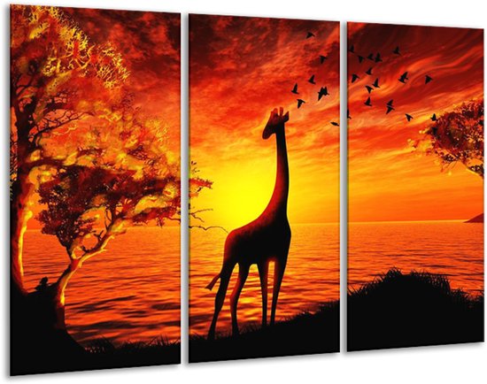 Glasschilderij Dieren - Geel, Oranje, Zwart - 120x80cm 3Luik - Foto Op Glas - Geen Acrylglas Schilderij - GroepArt 6000+ Glas Art Collectie - Maatwerk Mogelijk