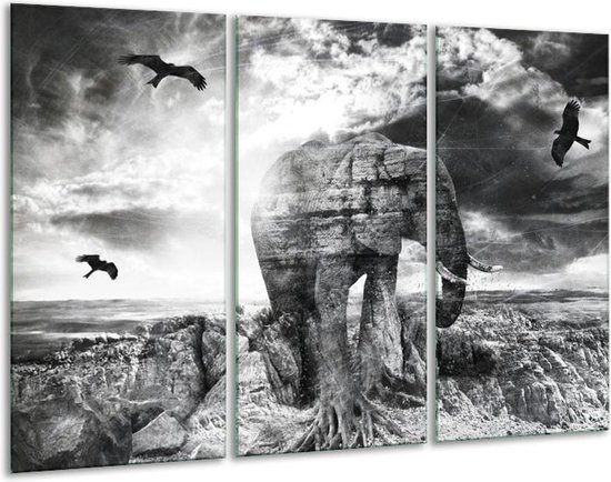 Glasschilderij Olifant - Grijs, Zwart, Wit - 120x80cm 3Luik - Foto Op Glas - Geen Acrylglas Schilderij - GroepArt 6000+ Glas Art Collectie - Maatwerk Mogelijk