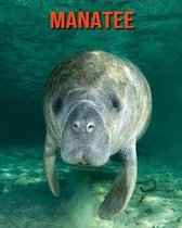 Manatee