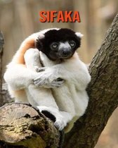 Sifaka