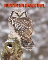 Northern Hawk Owl