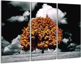 GroepArt - Schilderij -  Natuur - Bruin, Grijs, Zwart - 120x80cm 3Luik - 6000+ Schilderijen 0p Canvas Art Collectie