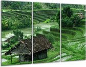 GroepArt - Schilderij -  Natuur - Groen, Wit, - 120x80cm 3Luik - 6000+ Schilderijen 0p Canvas Art Collectie