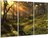 GroepArt - Schilderij -  Natuur - Geel, Groen - 120x80cm 3Luik - 6000+ Schilderijen 0p Canvas Art Collectie