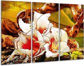 GroepArt - Schilderij -  Bloem - Wit, Rood, Geel - 120x80cm 3Luik - 6000+ Schilderijen 0p Canvas Art Collectie