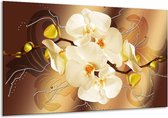 Schilderij Op Canvas Orchidee - Bruin, Crème - 120x70cm 1Luik - Foto Op Canvas - GroepArt 6000+ Schilderijen 0p Canvas Art Collectie - Wanddecoratie - Woonkamer - Slaapkamer - Canvas Print