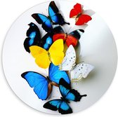 Forex Wandcirkel - Geel/Blauw/ode Vlinders op Witte Achtergrond - 60x60cm Foto op Wandcirkel (met ophangsysteem)