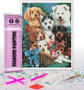 Compleet Full Diamond Painting voor volwassenen en kinderen - Honden puppy's - 30x40cm volledig pakket met accessoires - Cadeau tip