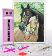 Compleet Full Diamond Painting voor volwassenen en kinderen - Paard en veulen - 30x40cm volledig pakket met accessoires - Cadeau tip