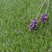 Egrass DOHA LUXURY Kunstgras tapijt - 100x400cm - 20mm - Groen