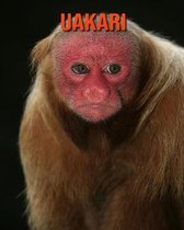 Uakari
