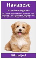 Havanese for Absolute Beginners