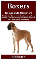 Boxers for Absolute Beginners