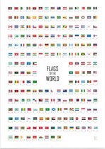 Educatieve poster (Forex) - Flags of the World (Engelstalig) - 50 x 70 cm (B2)