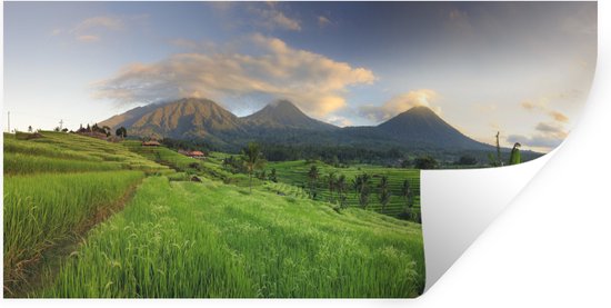 Sticker Muursticker Indonésie - Rizières à Bali - 40x20 cm - film adhésif autocollant - sticker mural repositionnable