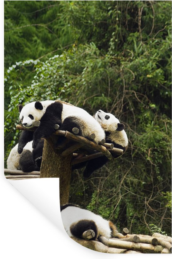 Stickers Stickers muraux - Pandas - Bois - Escaliers - 20x30 cm - Film adhésif