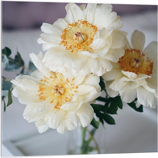 Acrylglas - Witte Bloemen in Vaas - 100x100cm Foto op Acrylglas (Wanddecoratie op Acrylglas)