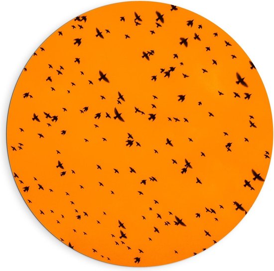 Dibond Wandcirkel - Zwerm Vogels tegen Gele Lucht - 90x90cm Foto op Aluminium Wandcirkel (met ophangsysteem)