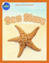 Sea Stars Activity Workbook ages 4-8