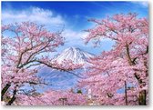 Fuji-berg en kersenbloesems in de lente, Japan - 70x50 Canvas Liggend - Besteposter - Landschap