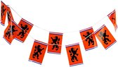 Grote Oranje Vlaggetjes met Leeuw - Oranje vlaggenlijn - EK accessoires - Oranje versiering - EK 2021 - EK voetbal - 10 meter