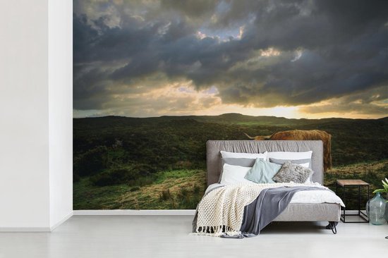 Papier peint Papier peint photo en vinyle - Highlander pendant le coucher du soleil largeur 450 cm x hauteur 300 cm - Tirage photo sur papier peint (disponible en 7 tailles)