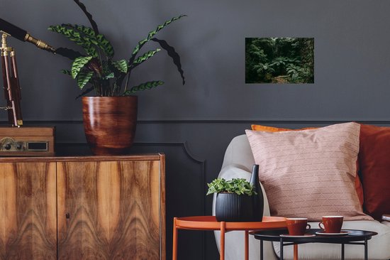 Stickers muraux - Film autocollant - Fougères dans la forêt tropicale japonaise - 30x20 cm - Film adhésif - Stickers muraux Chambre d'enfant - Papier peint autocollant - Papier peint autocollant - Film autocollant