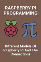 Raspberry Pi Programming