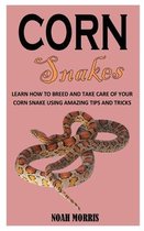 Corn Snakes