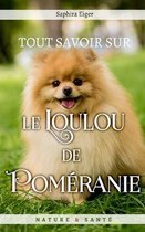 Tout Savoir sur le Loulou de Pomeranie