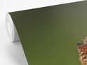 PDP.ProductImage.Thumb.Image.srtText 9